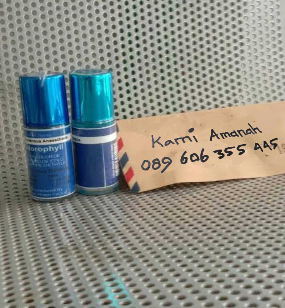 المرفق jual obat bius chloropyll spray...jpg