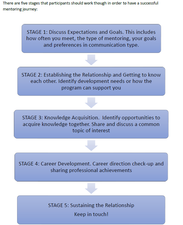 5 Stages of the mentorship journey